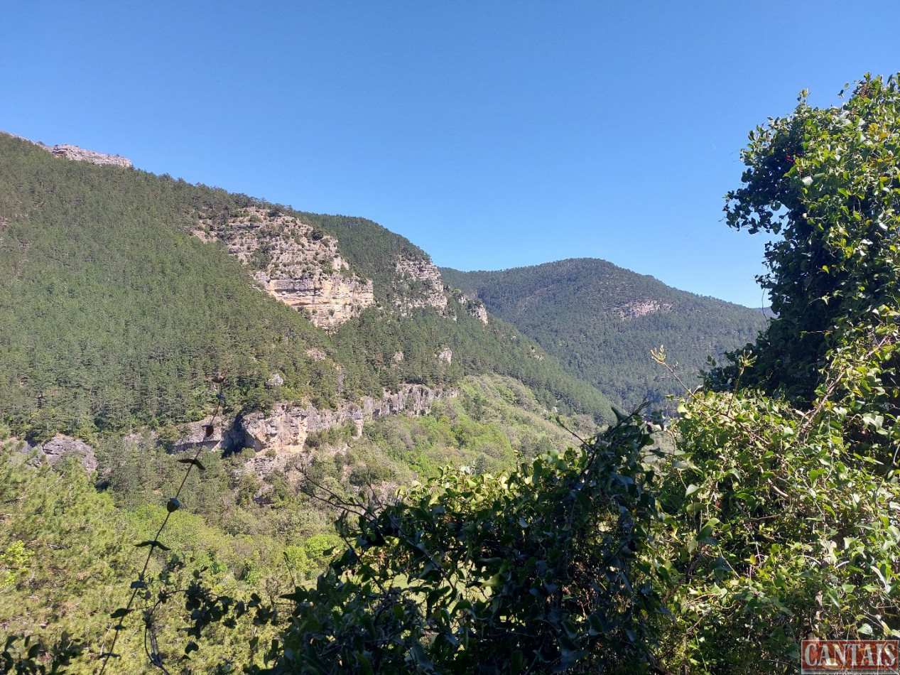 à vendre Camping Saint Ambroix - Photo 3