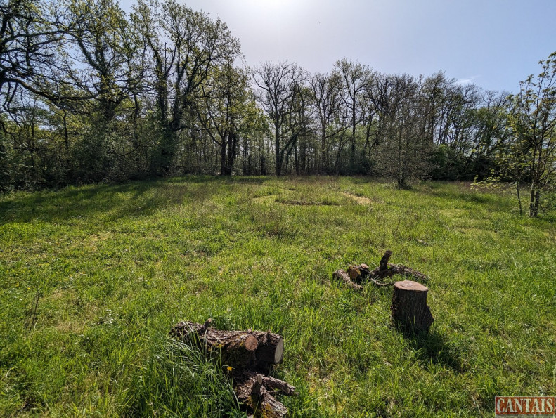 vente Gîte Agen - Photo 5