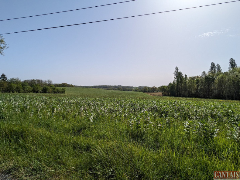 vente Gîte Agen - Photo 6