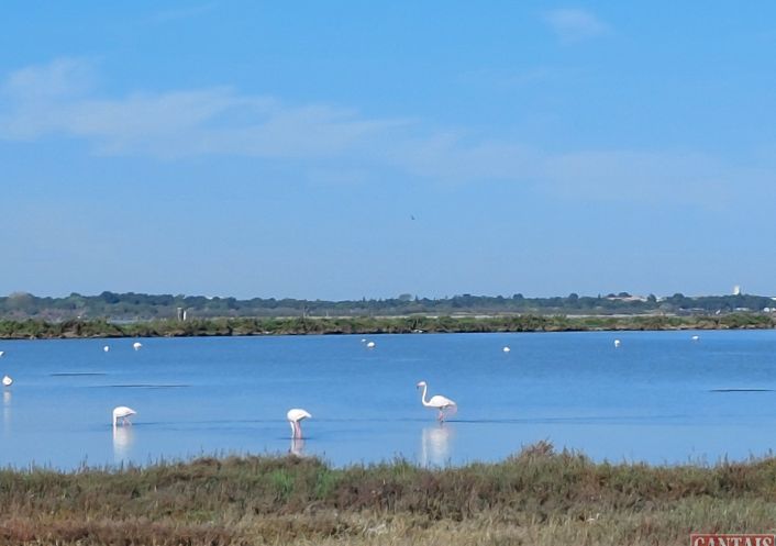à vendre Camping Strasbourg