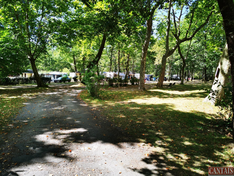 vente Camping Libourne - Photo 3