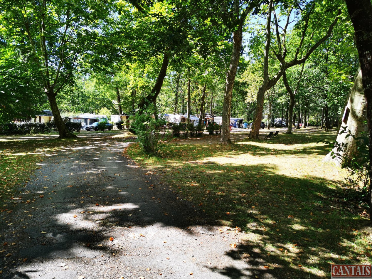 à vendre Camping Libourne - Photo 3