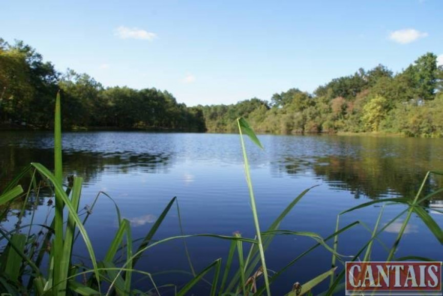 vente Camping Libourne - Photo 1