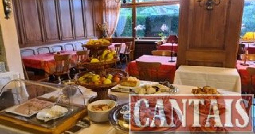 vente Hôtel restaurant Strasbourg