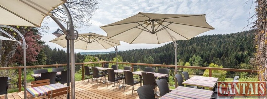 sale Hôtel   restaurant Epinal - Photo 2