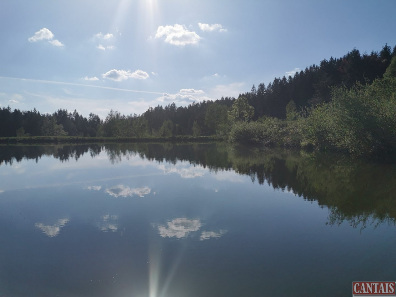 à vendre Hôtel restaurant Epinal - Photo 1