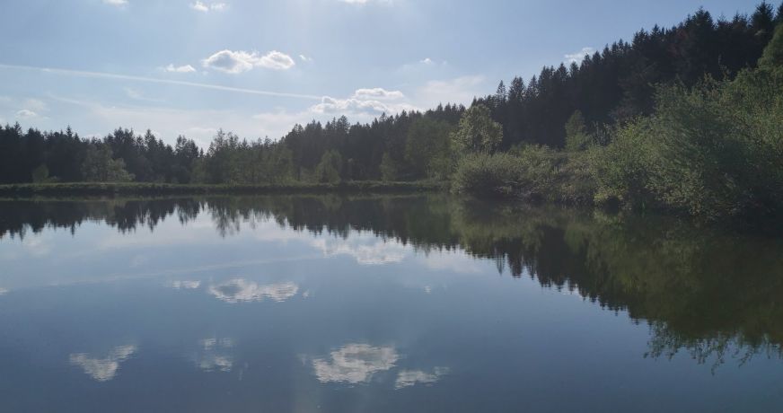 vente Hôtel restaurant Epinal