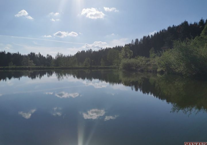 sale Hôtel   restaurant Epinal