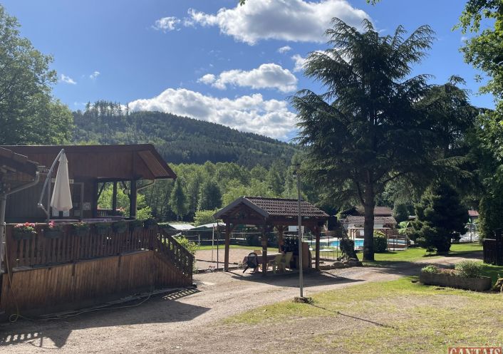 à vendre Camping Nancy