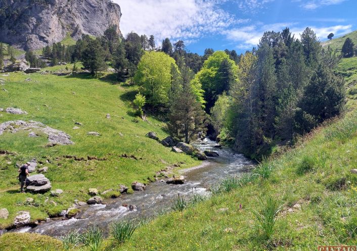 à vendre Camping Port Barcares