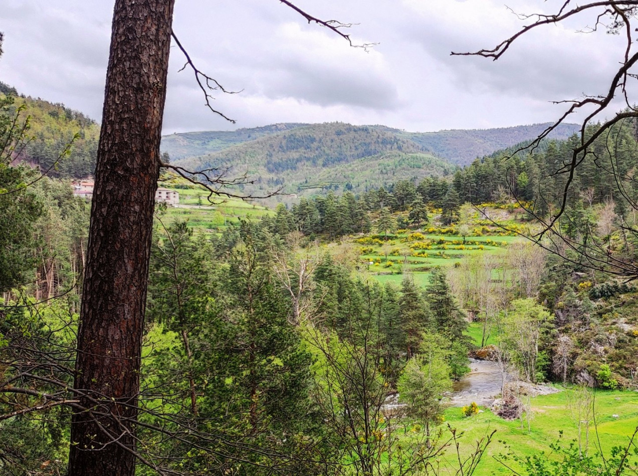 à vendre Camping Annonay - Photo 3