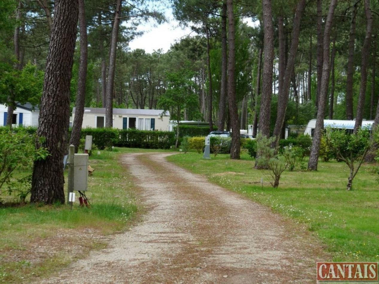 à vendre Camping Douarnenez - Photo 2