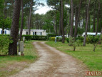 à vendre Camping Douarnenez