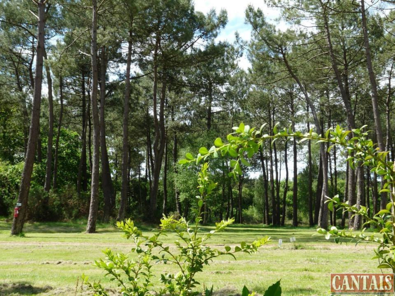 à vendre Camping Douarnenez - Photo 3
