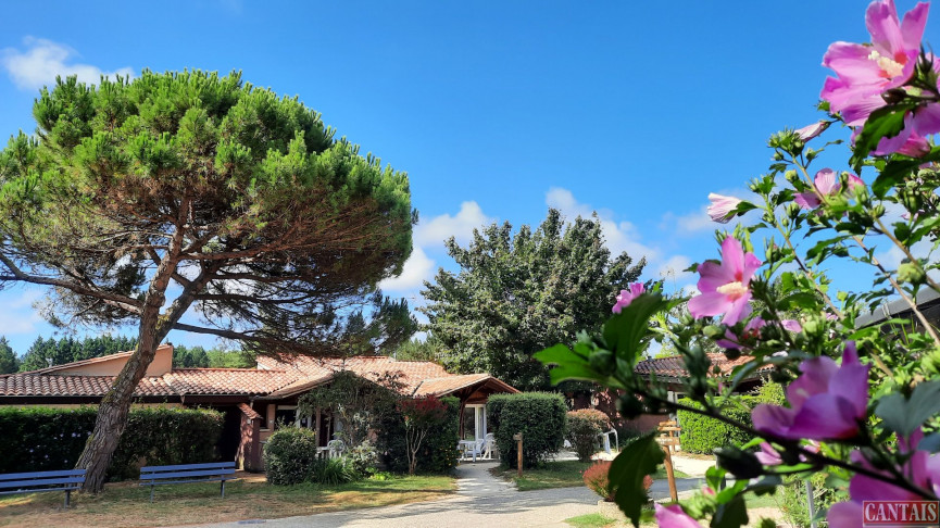 vente Gîte Agen - Photo 1