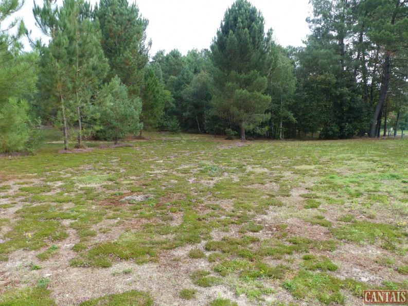 vente Camping Nantes - Photo 1