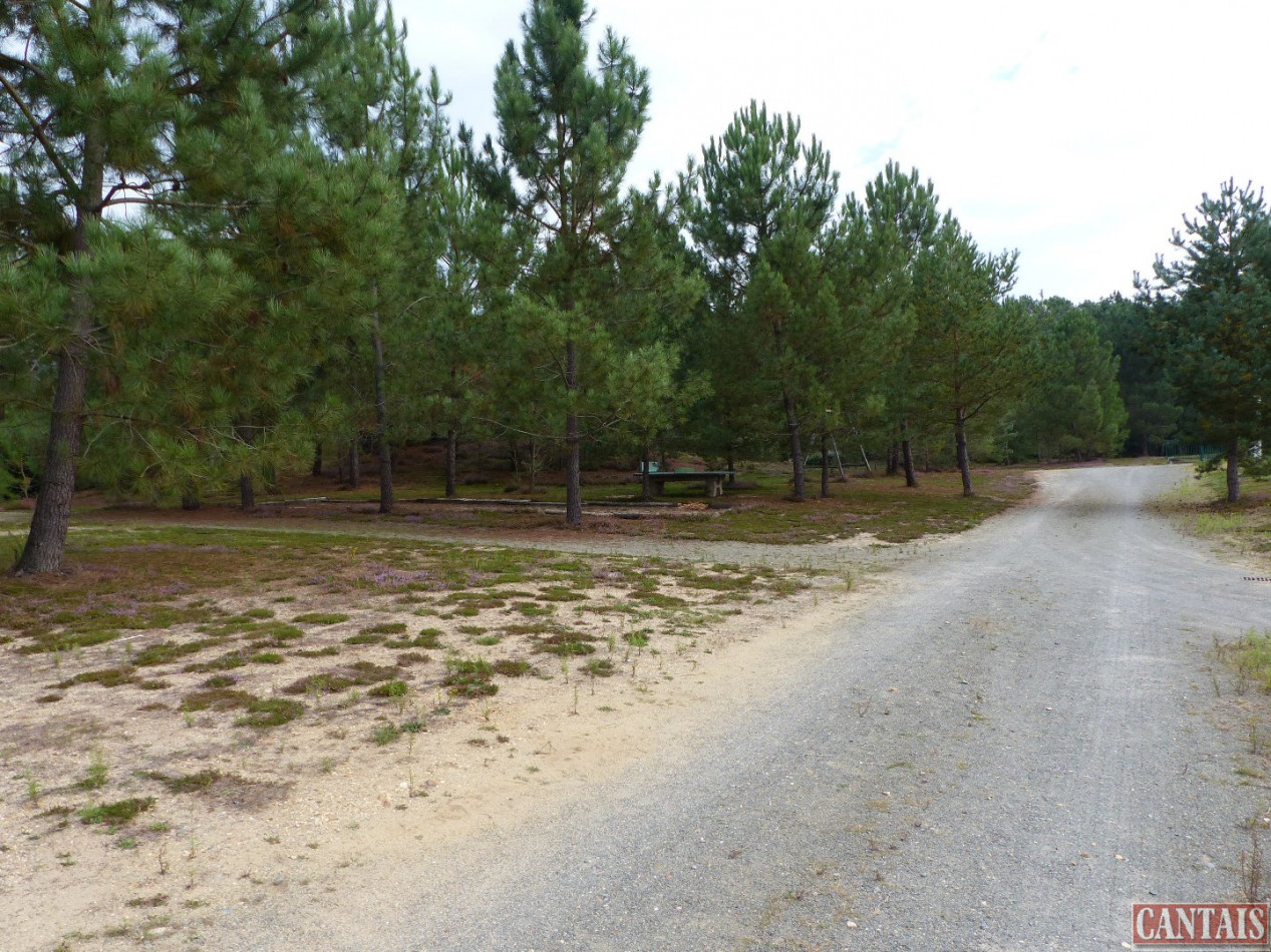 à vendre Camping Nantes - Photo 4