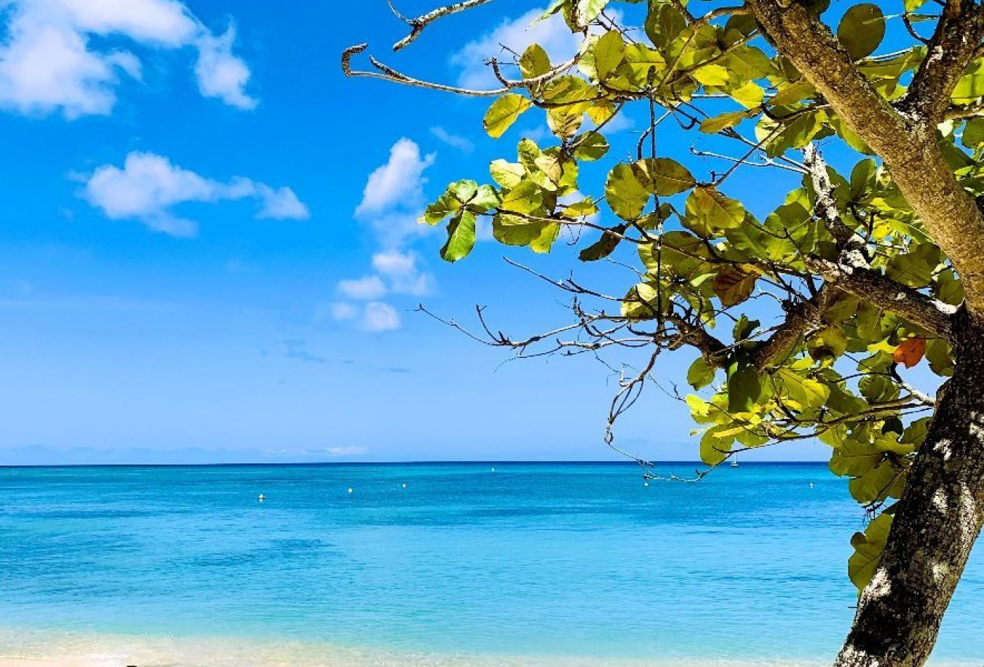 vente Gîte Basse Terre - Photo 3