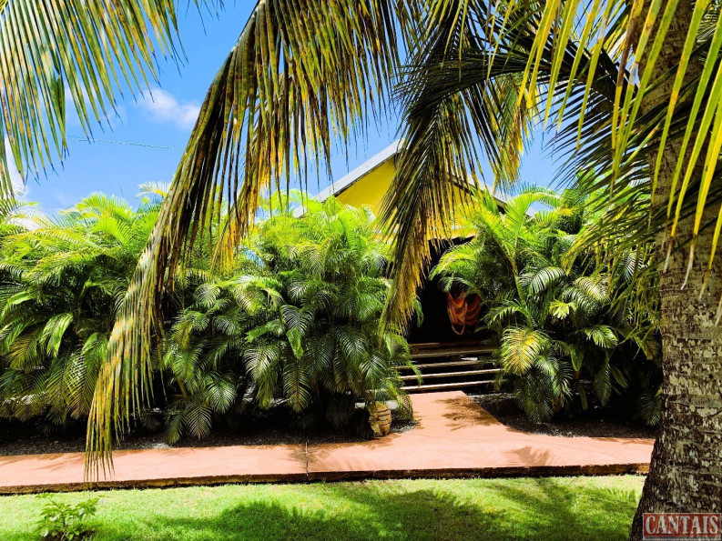 vente Gîte Basse Terre - Photo 4