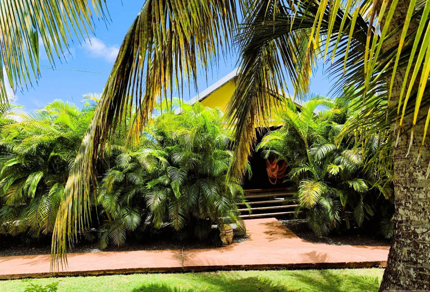 vente Gîte Basse Terre - Photo 4