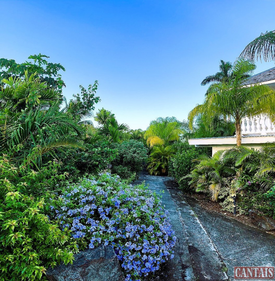 à vendre Gîte Basse Terre - Photo 5