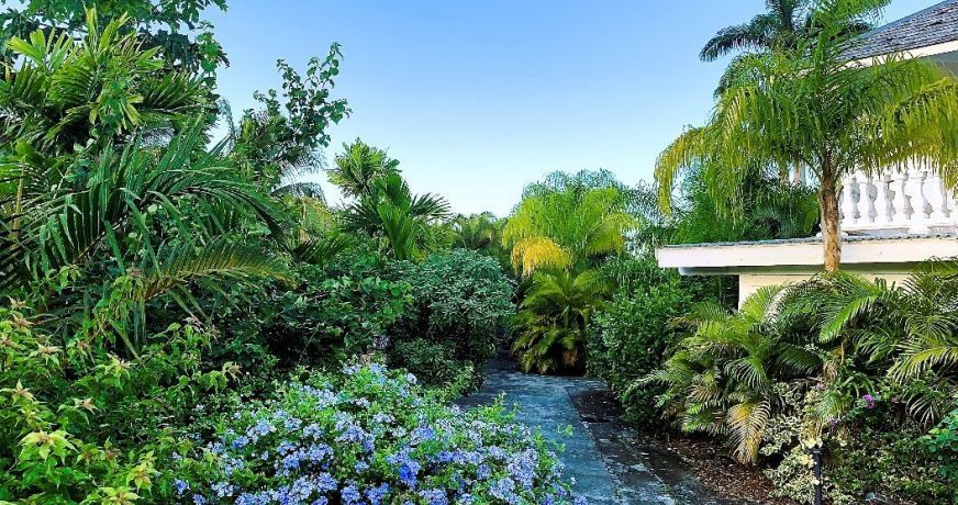 vente Gîte Basse Terre