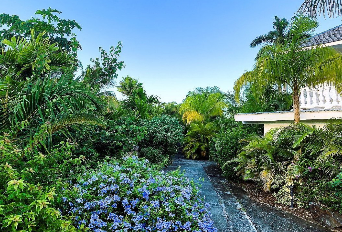 vente Gîte Basse Terre - Photo 5