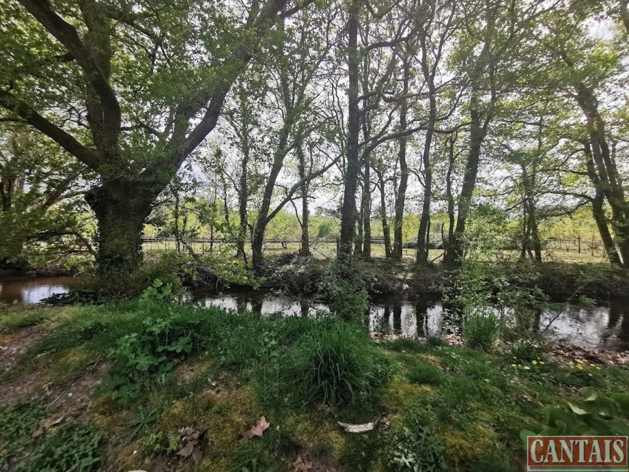à vendre Camping Libourne - Photo 2