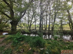 à vendre Camping Libourne