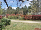 à vendre Camping Libourne