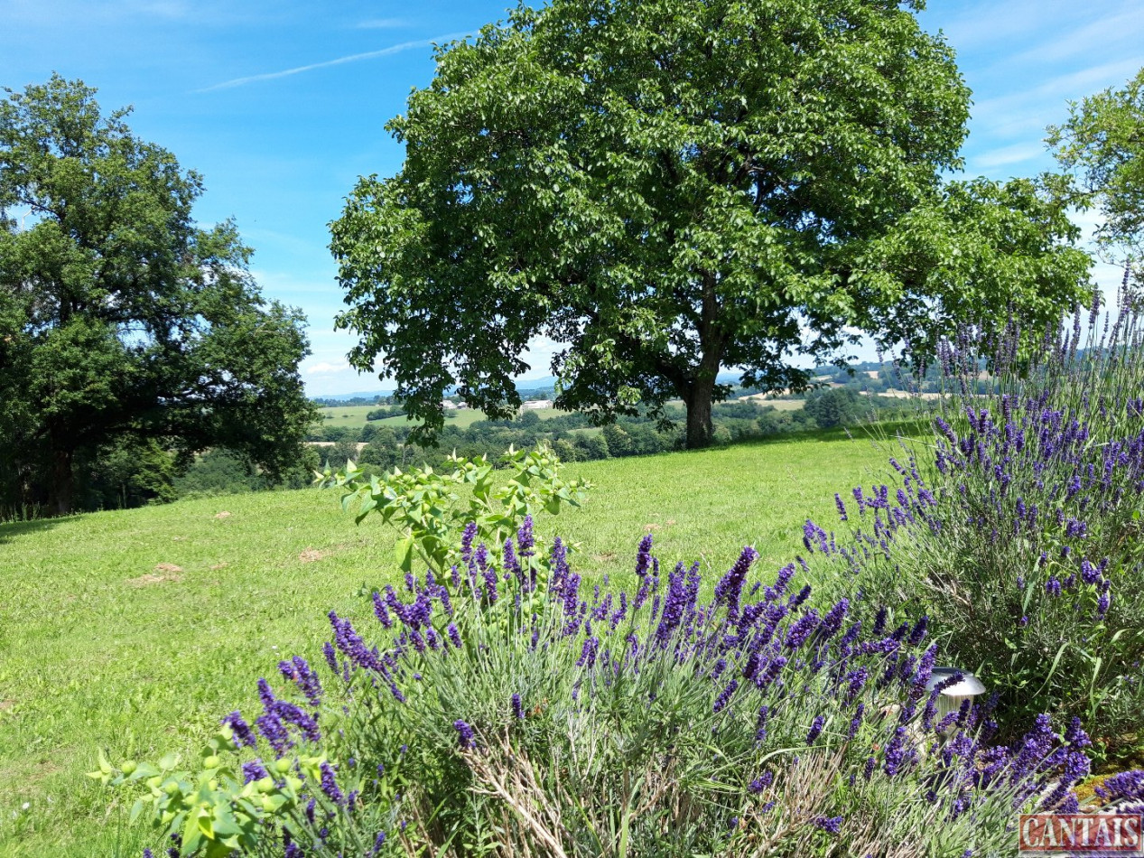 for sale Gîte Tulle - Photo 1