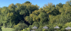 vente Gîte Valence