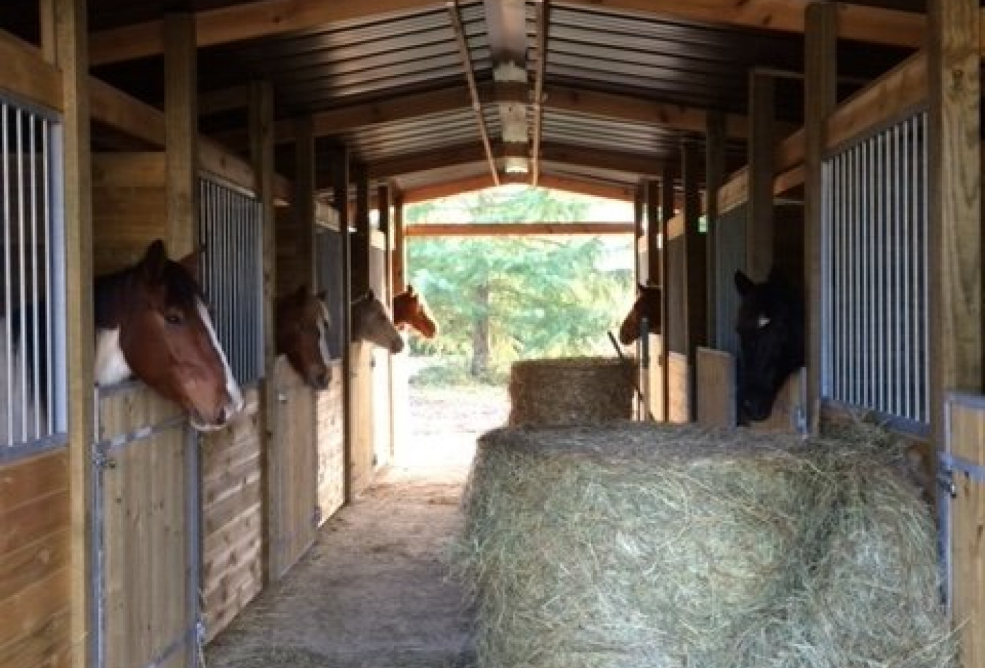 vente Gîte Auch - Photo 4