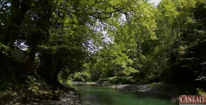 vente Camping Saint Gaudens - Photo 4