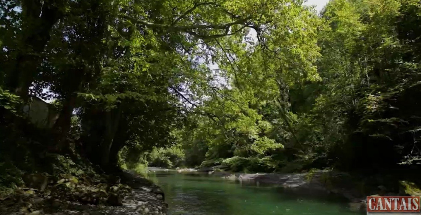 à vendre Camping Saint Gaudens - Photo 4
