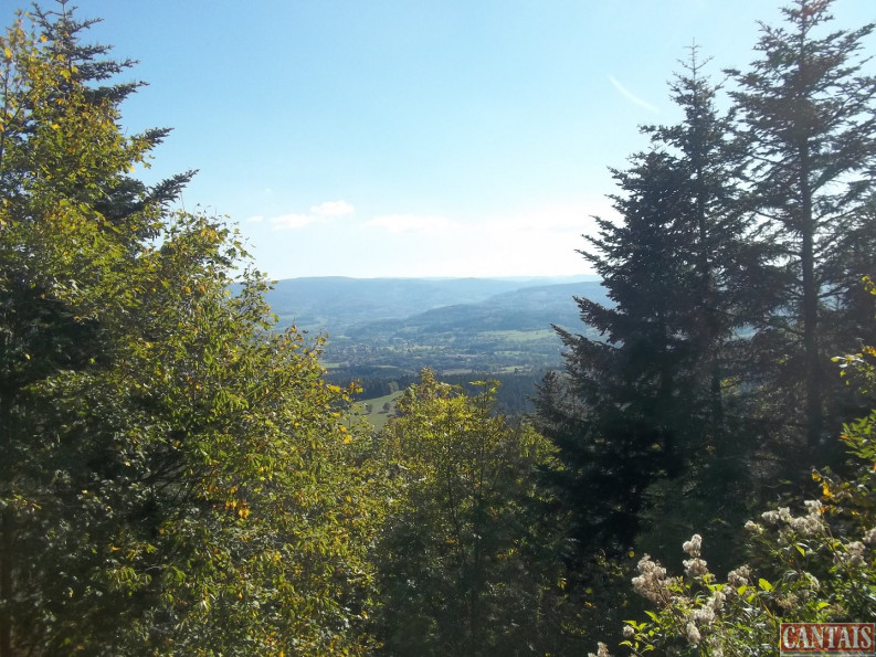 vente Camping Metz - Photo 5