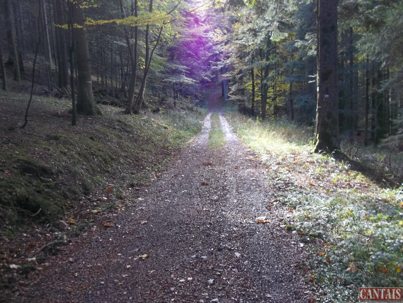 vente Camping Metz - Photo 6