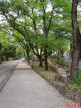 vente Camping La Seyne Sur Mer