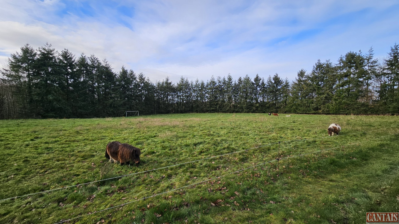à vendre Gîte Saint Brieuc - Photo 1