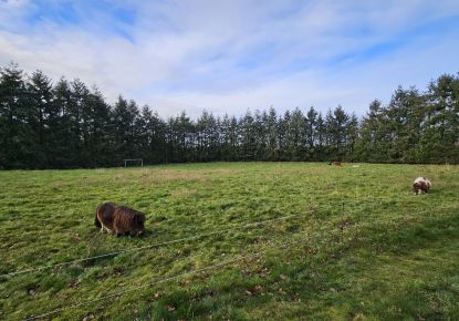 vente Gîte Saint Brieuc