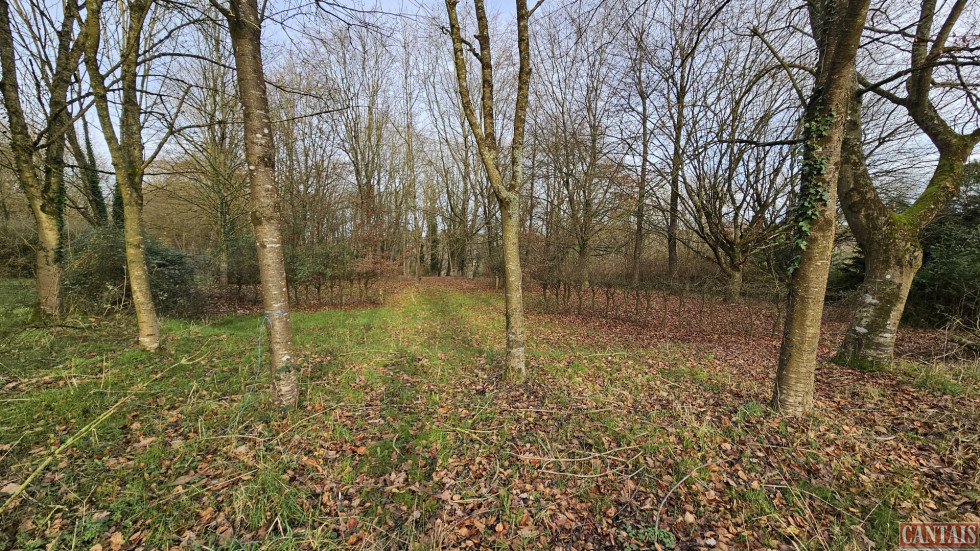 vente Gîte Saint Brieuc - Photo 3