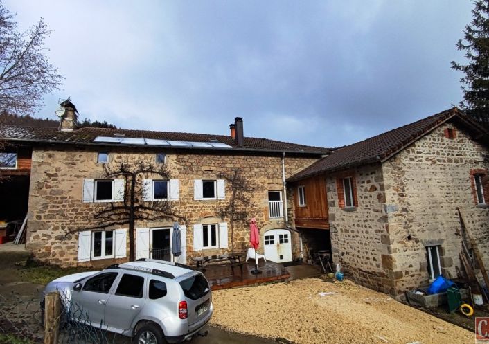 à vendre Gîte Sauvessanges