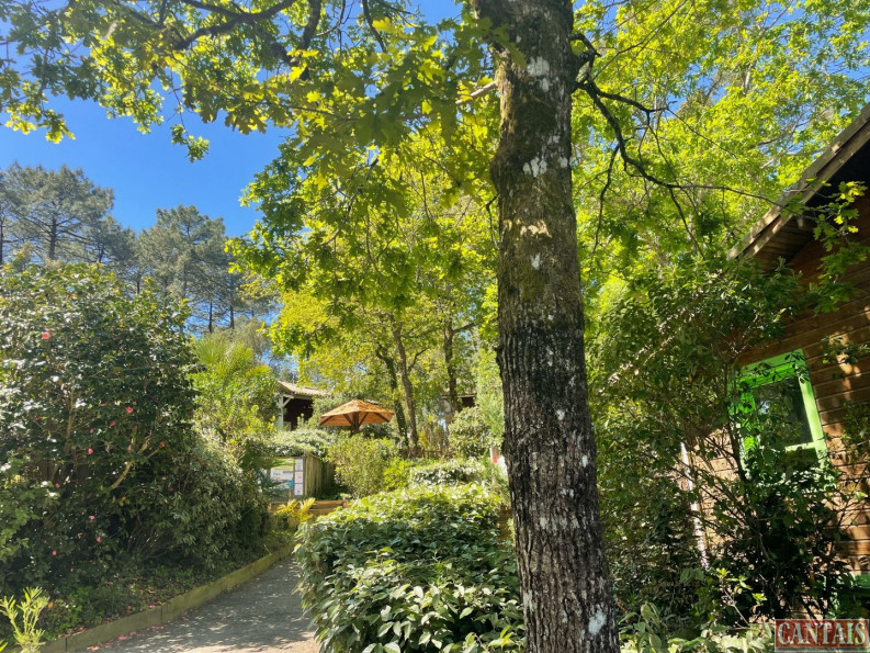 vente Gîte Mont De Marsan - Photo 6