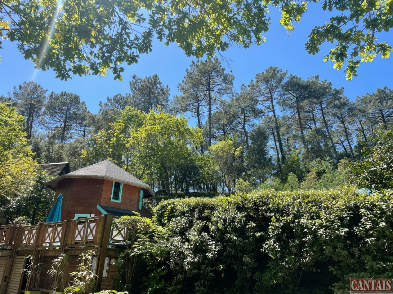 à vendre Camping Libourne - Photo 1
