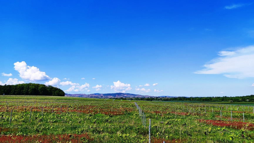 vente Gîte Grenoble - Photo 2