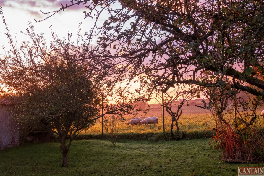 vente Gîte La Madeleine - Photo 3