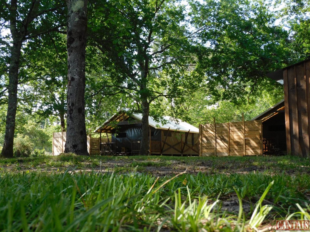 à vendre Camping Biscarrosse - Photo 1