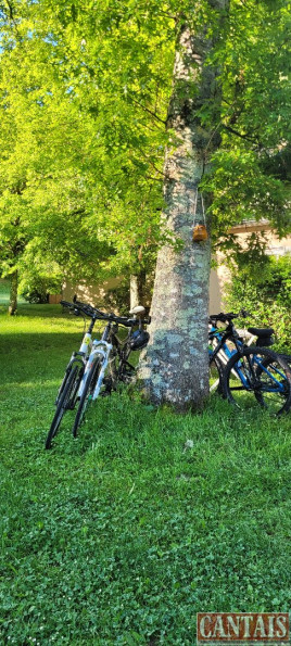 vente Gîte Rodez - Photo 2