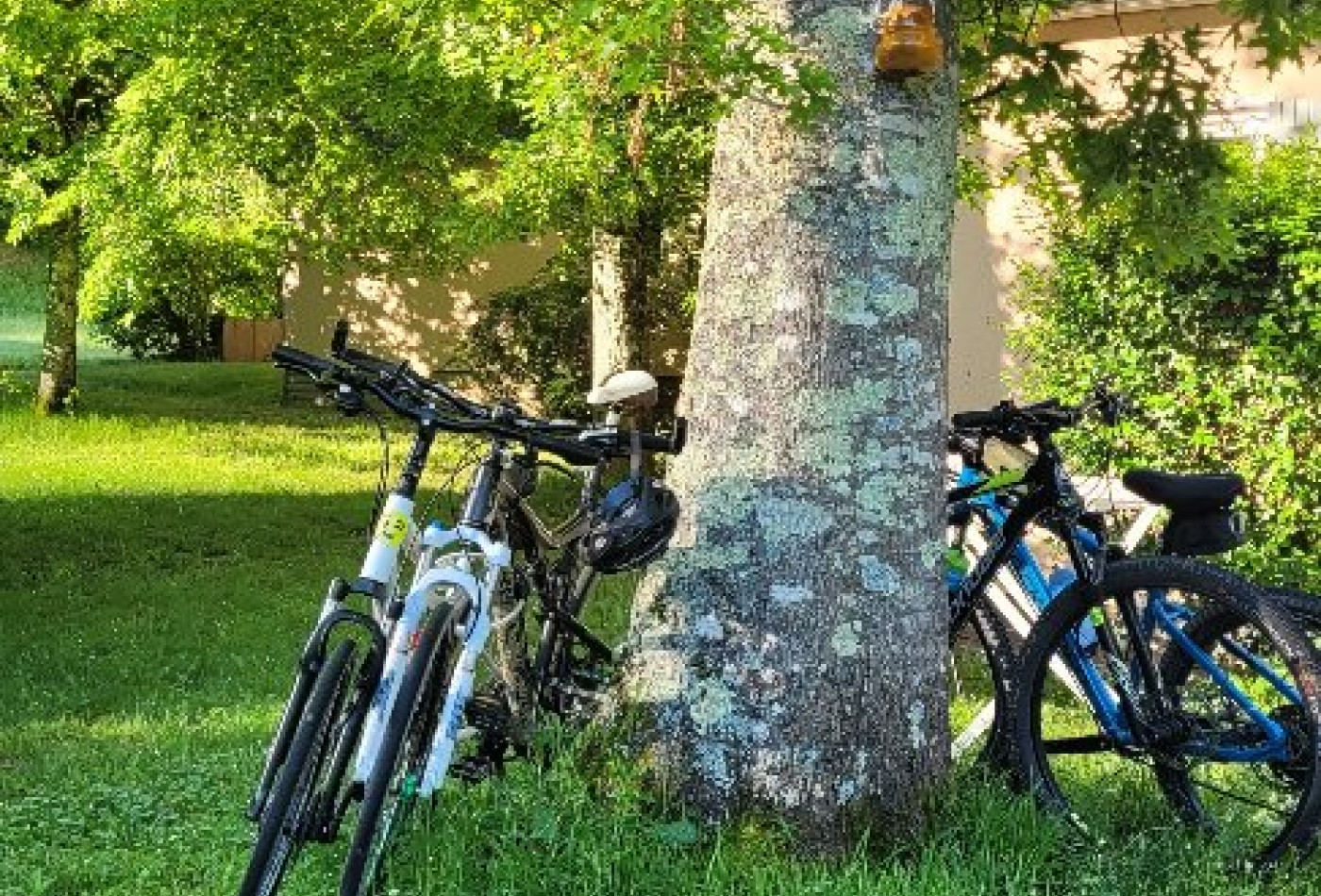 vente Gîte Rodez - Photo 2