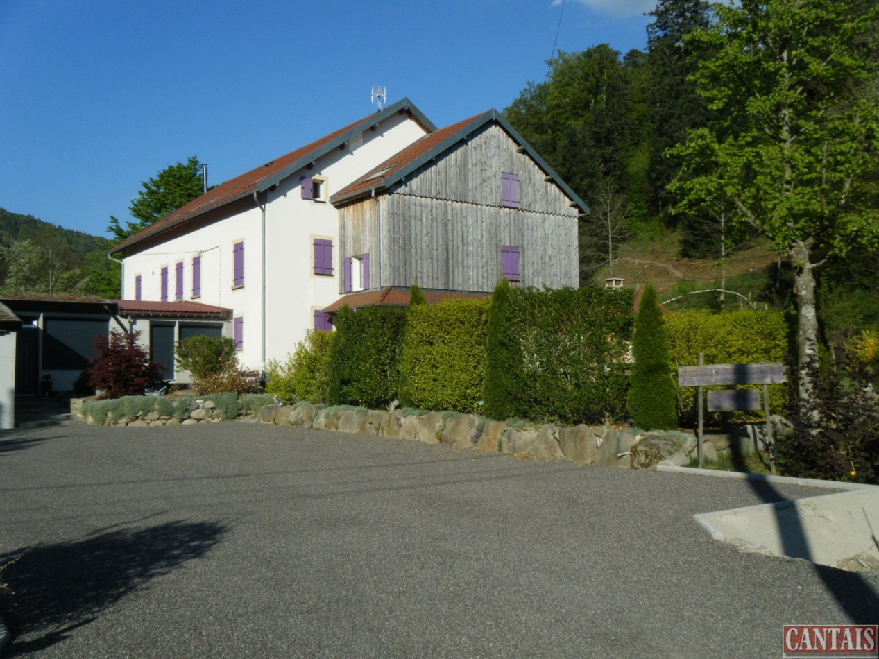 à vendre Gîte Epinal - Photo 1